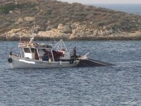 «Είμαστε χιλιάδες, αλλά δεν κοπαδιαζόμαστε…»